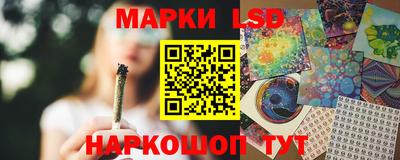 СК Краснодар